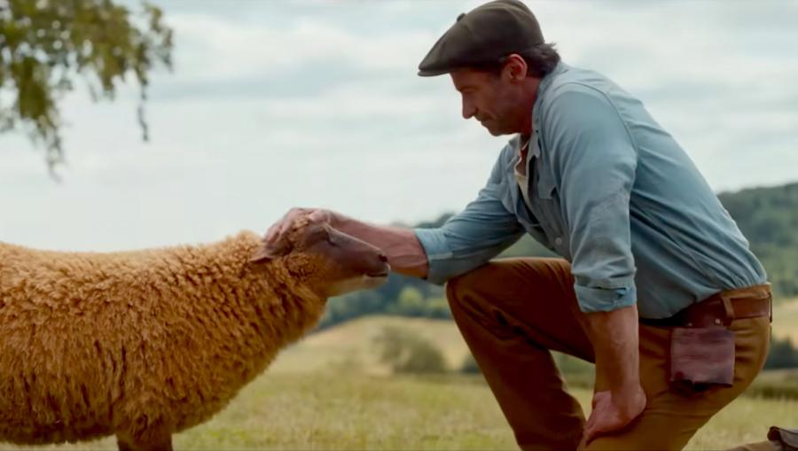 5 Reasons Why Everyone Needs to Watch 'The Sheep Detectives'!