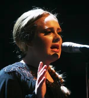 Adele helps sick fan at gig