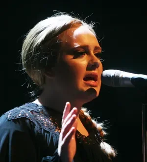 Adele helps sick fan at gig