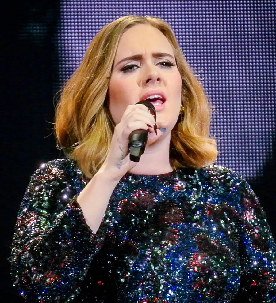 Adele blasts rumours Rebel Wilson will play her onscreen
