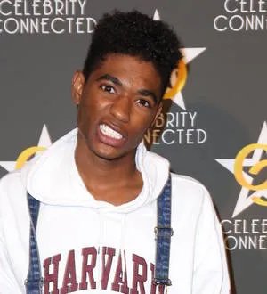 Actor from Grown Ups movies arrested