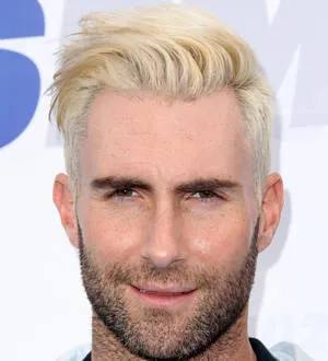 Adam Levine throws bachelor party in Las Vegas