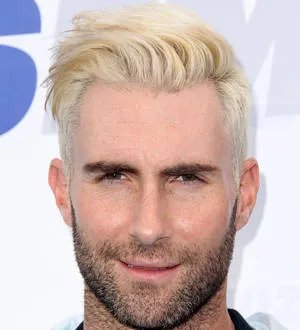 Adam Levine throws bachelor party in Las Vegas