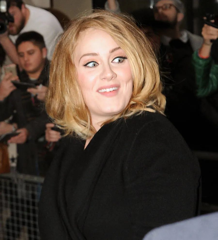 Adele fans flock to download new song, check out video