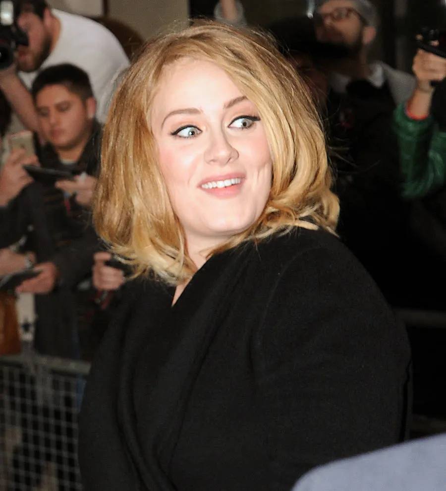 Adele fans flock to download new song, check out video