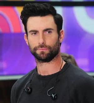 Adam Levine's TV show gets the green light