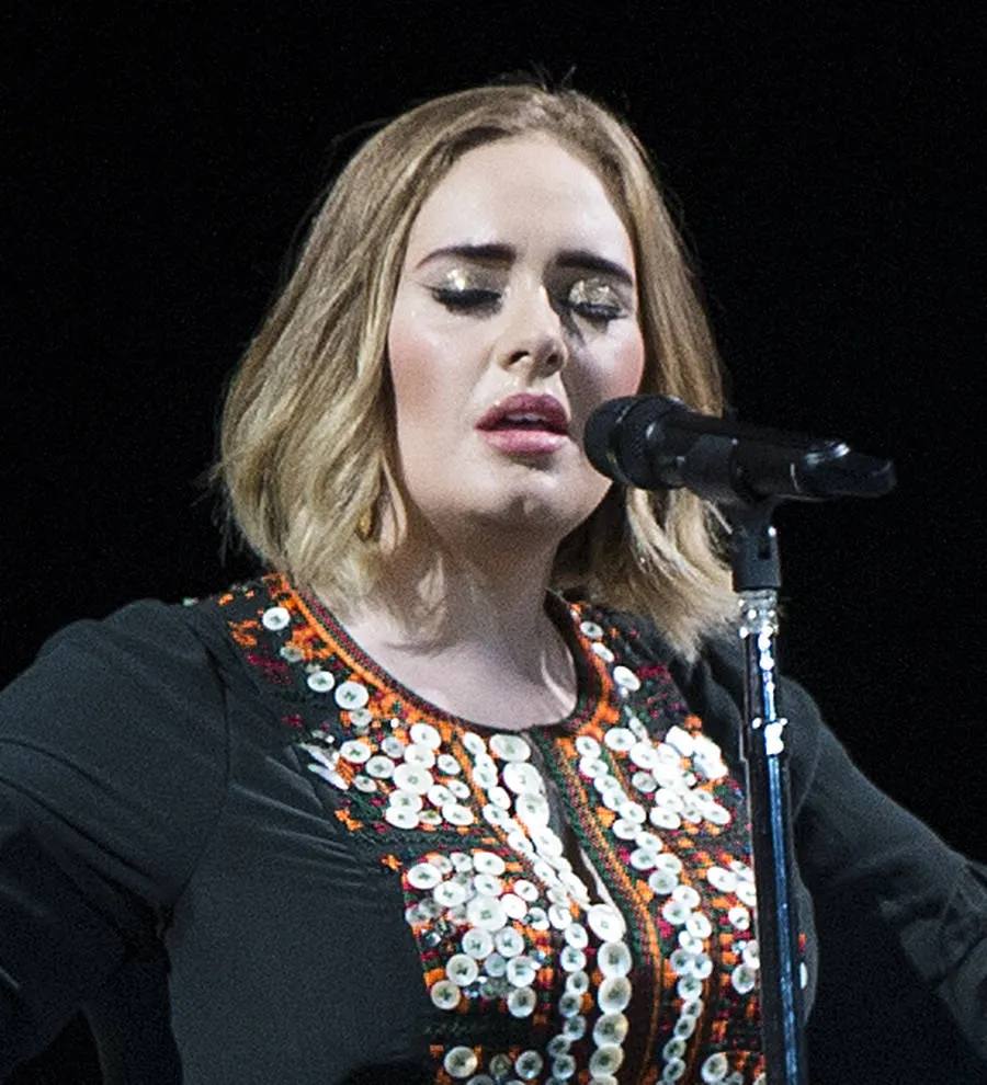Adele halts show to scold security guard