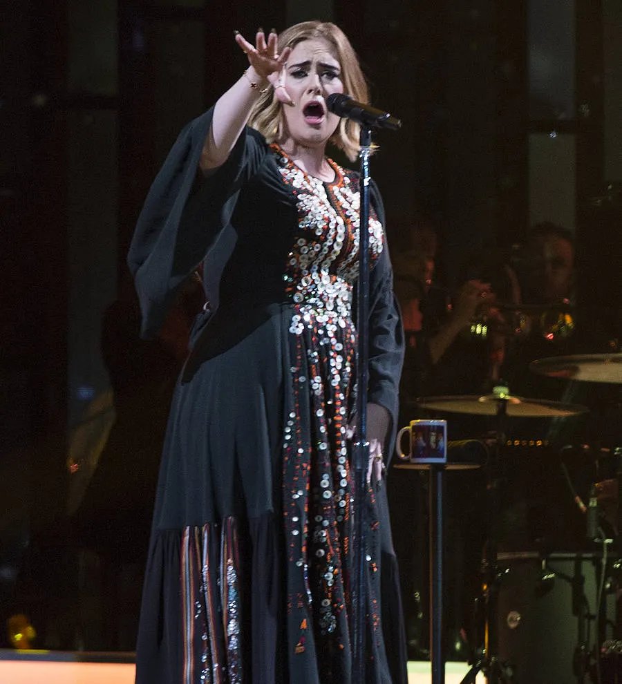 Adele hints at touring retirement in moving hometown concert program