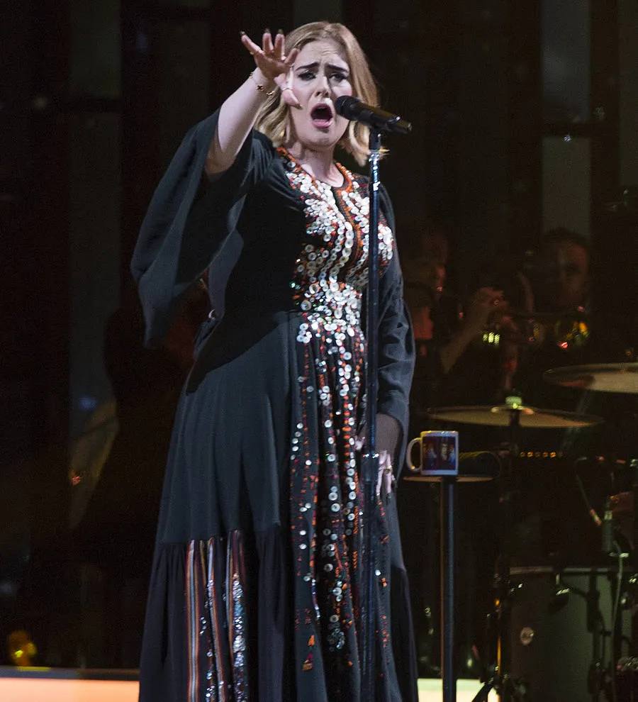 Adele hints at touring retirement in moving hometown concert program