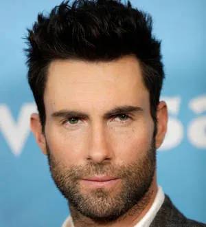Adam Levine lands Lady Antebellum star for The Voice