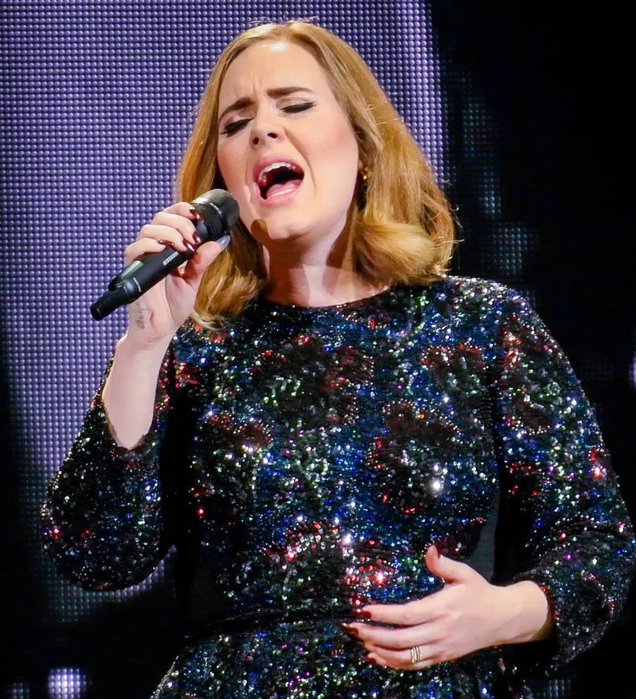Adele battles chest inflammation on tour