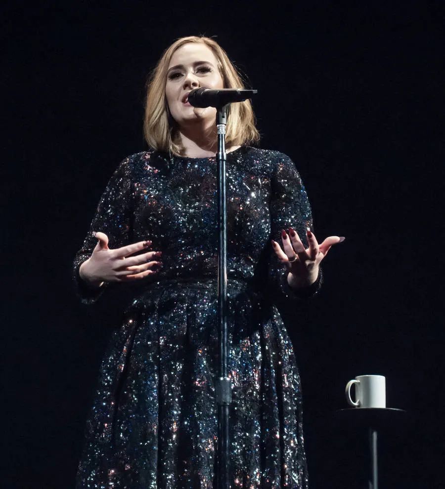 Adele hints she'll release more music this year