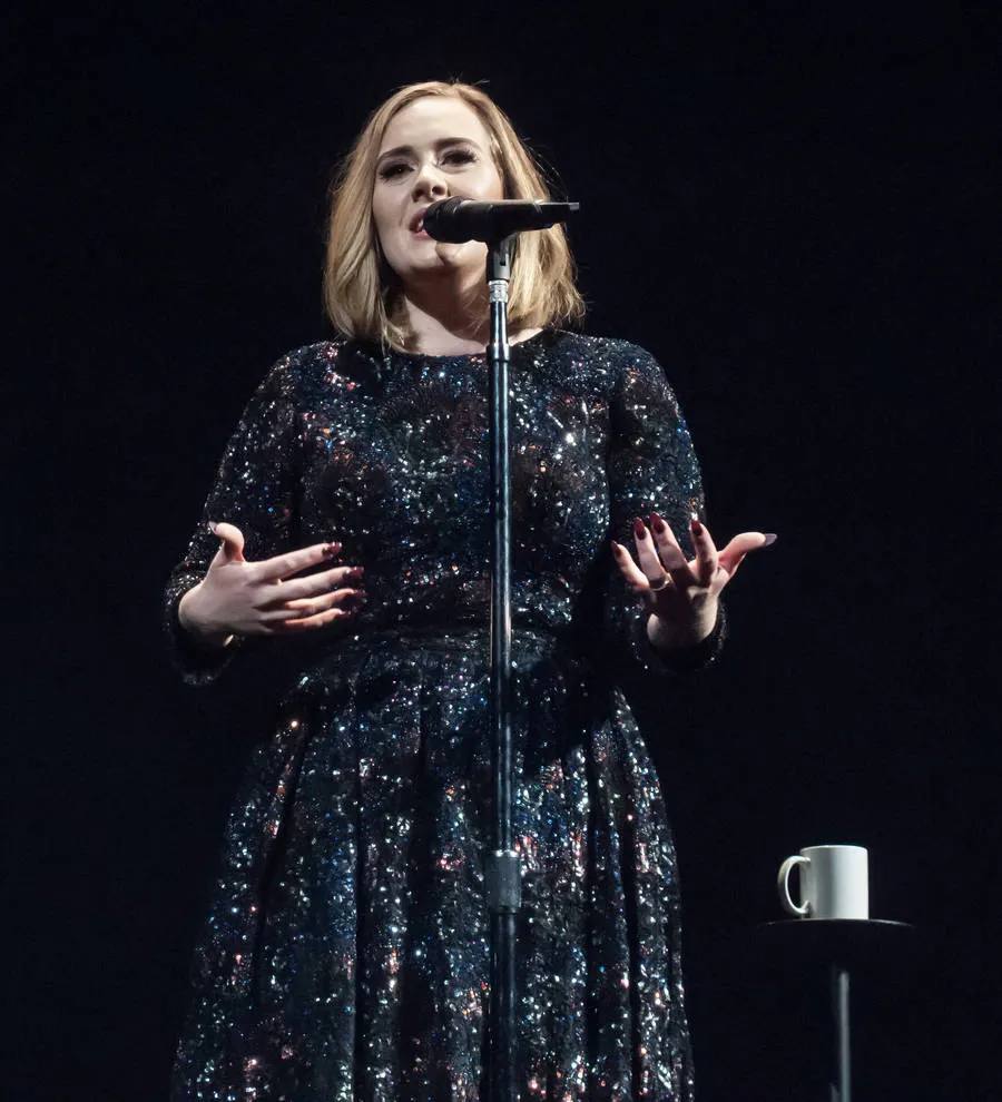 Adele hints she'll release more music this year