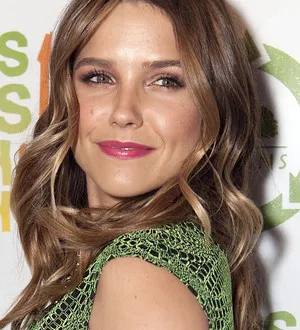 Actress Sophia Bush breaks toe