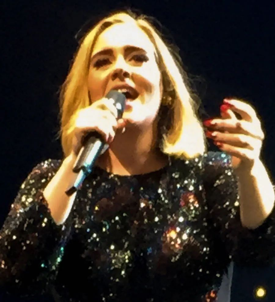 Adele concert marred by fan injury