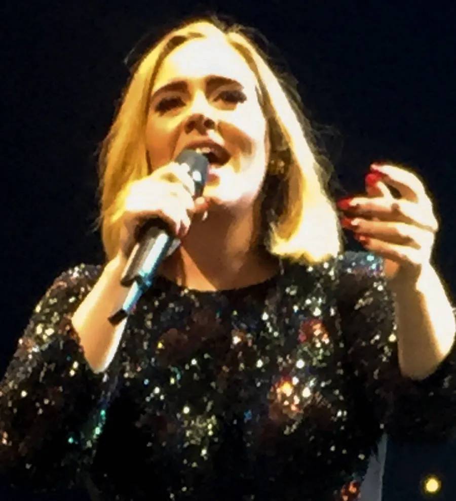 Adele concert marred by fan injury