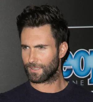Adam Levine accidentally hits fan with mic