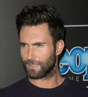 Adam Levine accidentally hits fan with mic