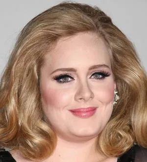 Adele facing fine over baby registration