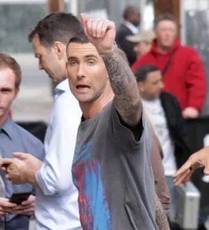 Adam Levine sugar-bomber sentenced to probation