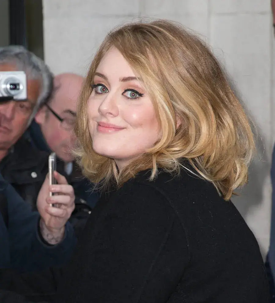 Adele ditched album about motherhood