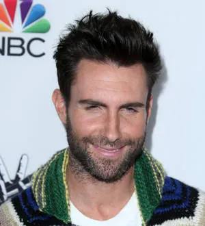 Adam Levine draws naughty picture on TV show