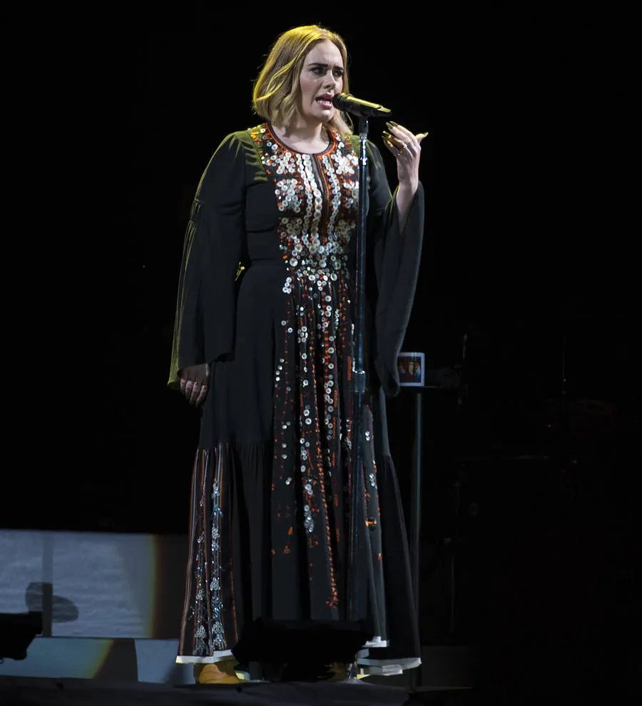 Adele dedicates show to Brangelina after divorce announcement