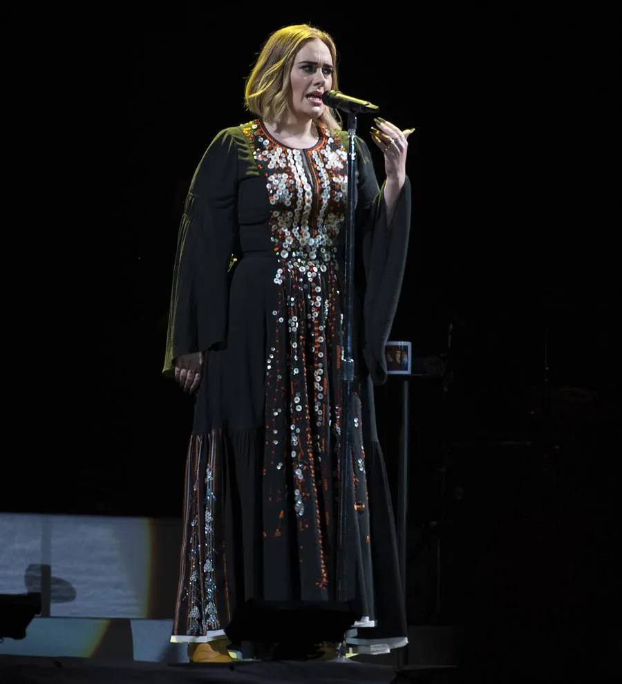 Adele dedicates show to Brangelina after divorce announcement
