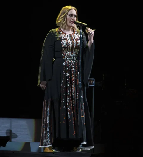 Adele dedicates show to Brangelina after divorce announcement