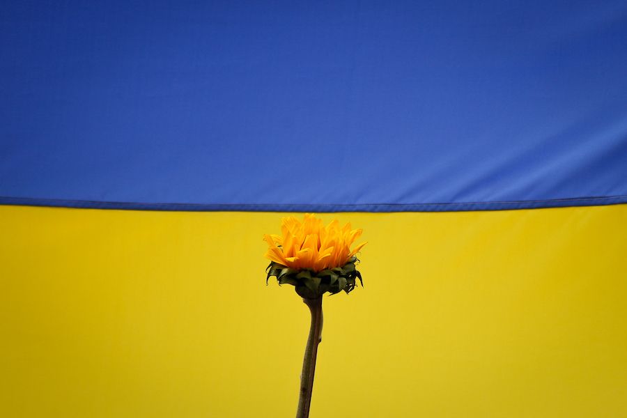 Celebrities Supporting Ukraine and How You Can Too!