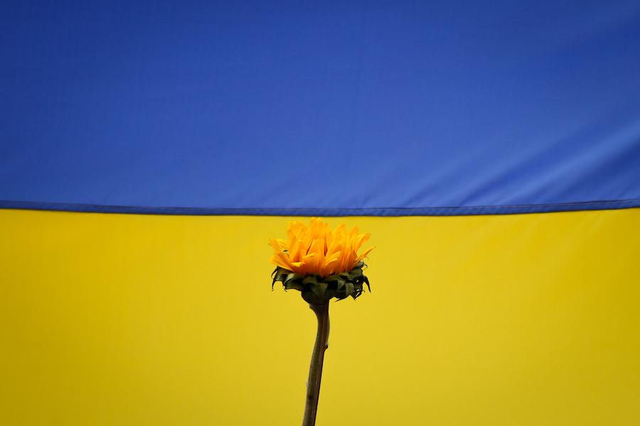 Celebrities Supporting Ukraine and How You Can Too!