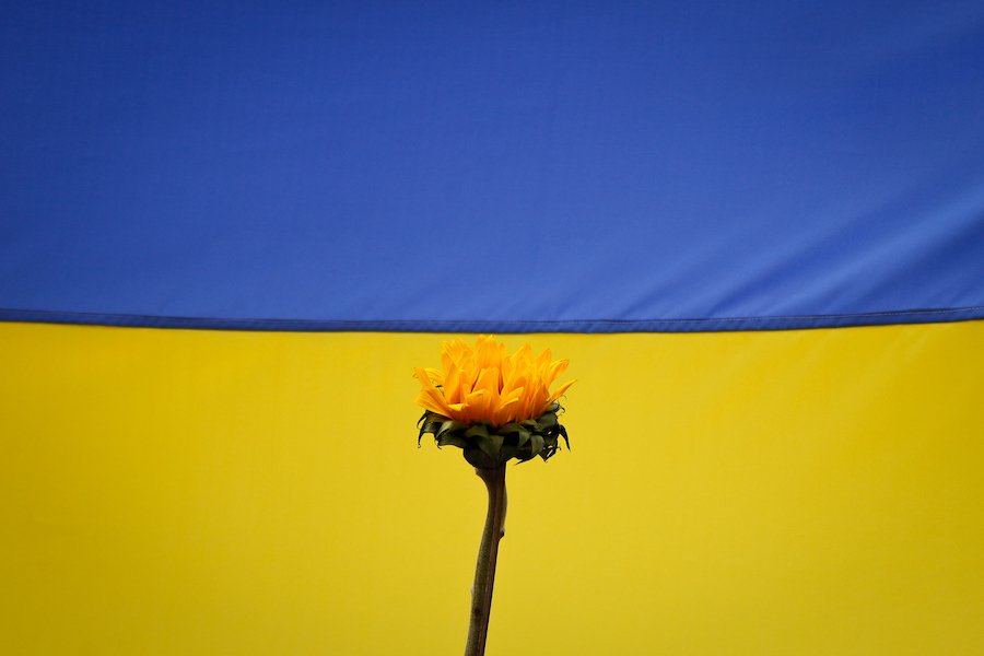 Celebrities Supporting Ukraine and How You Can Too!