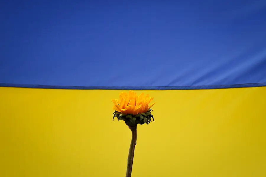 Celebrities Supporting Ukraine and How You Can Too!