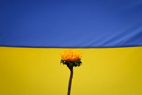 Celebrities Supporting Ukraine and How You Can Too!