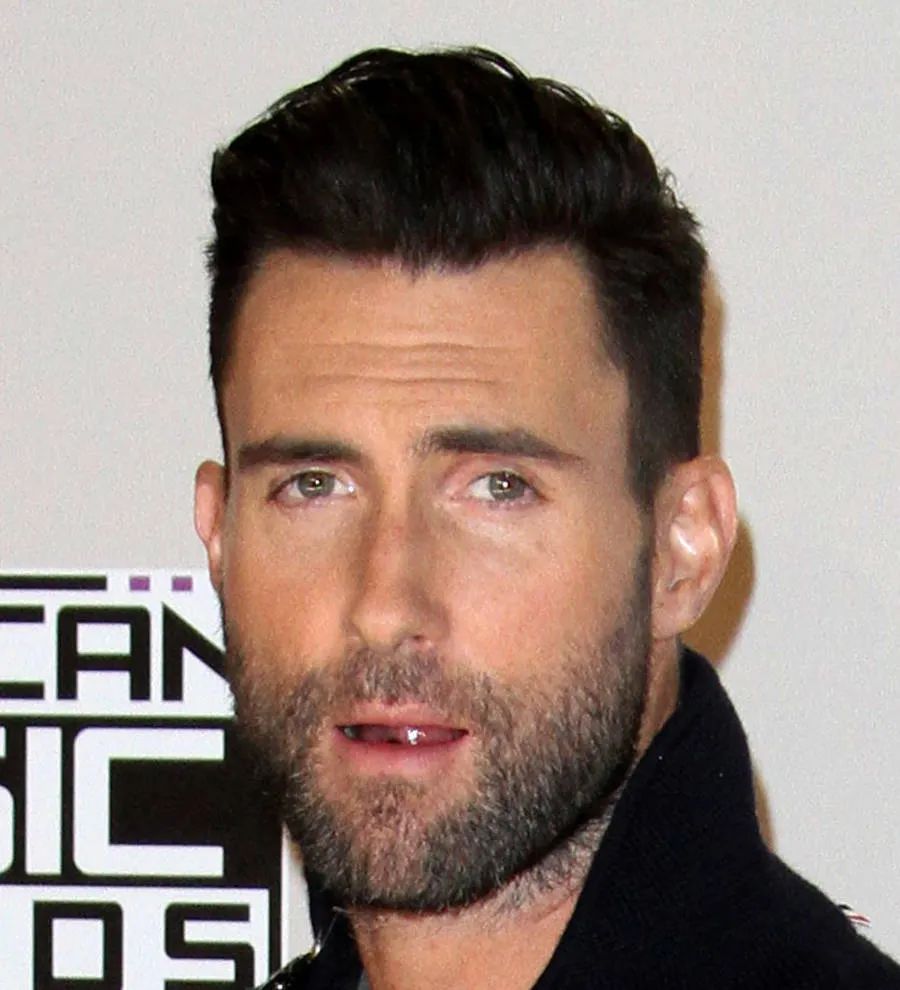 Adam Levine unveils second baby's gender