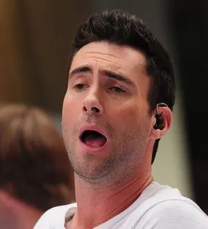 Adam Levine lauds mind-bending mushroom experience