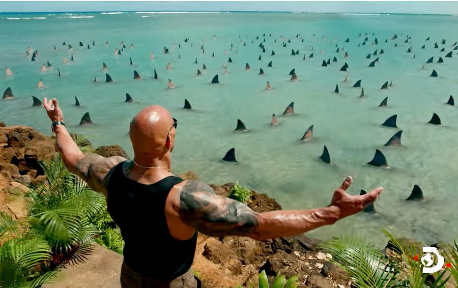 Shark Week Is Back!