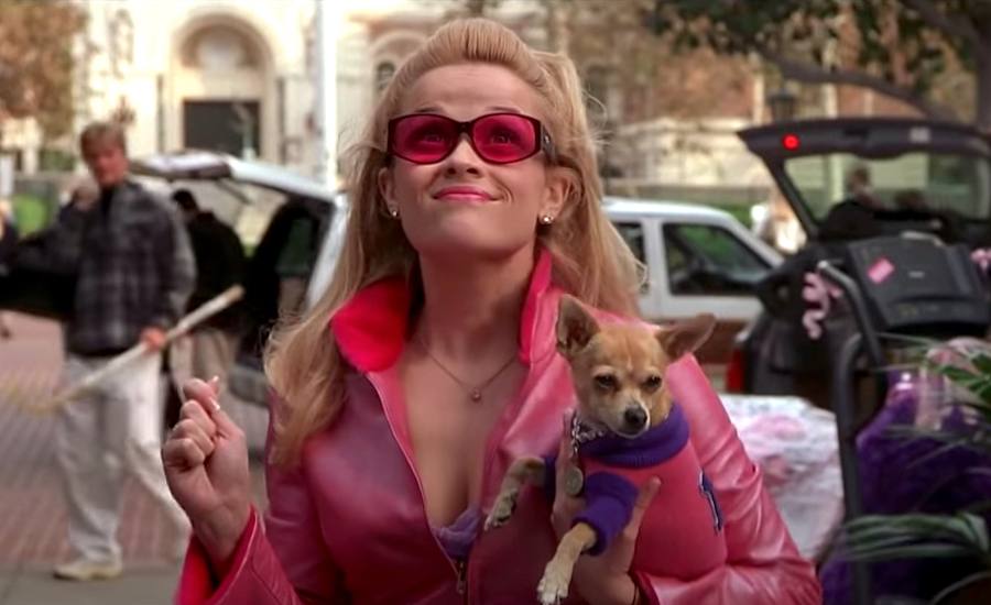 4 Video Essays for the Girls