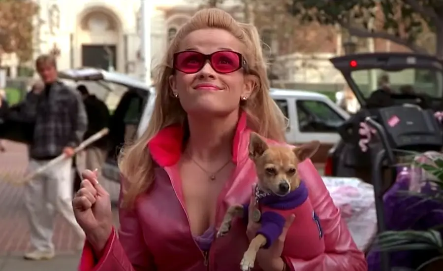 4 Video Essays for the Girls