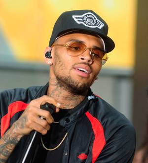 Chris Brown sued over alleged basketball court spat