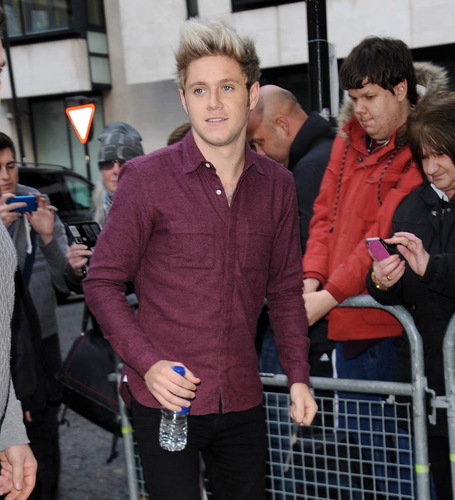 One Direction's Niall Horan to go solo first - report