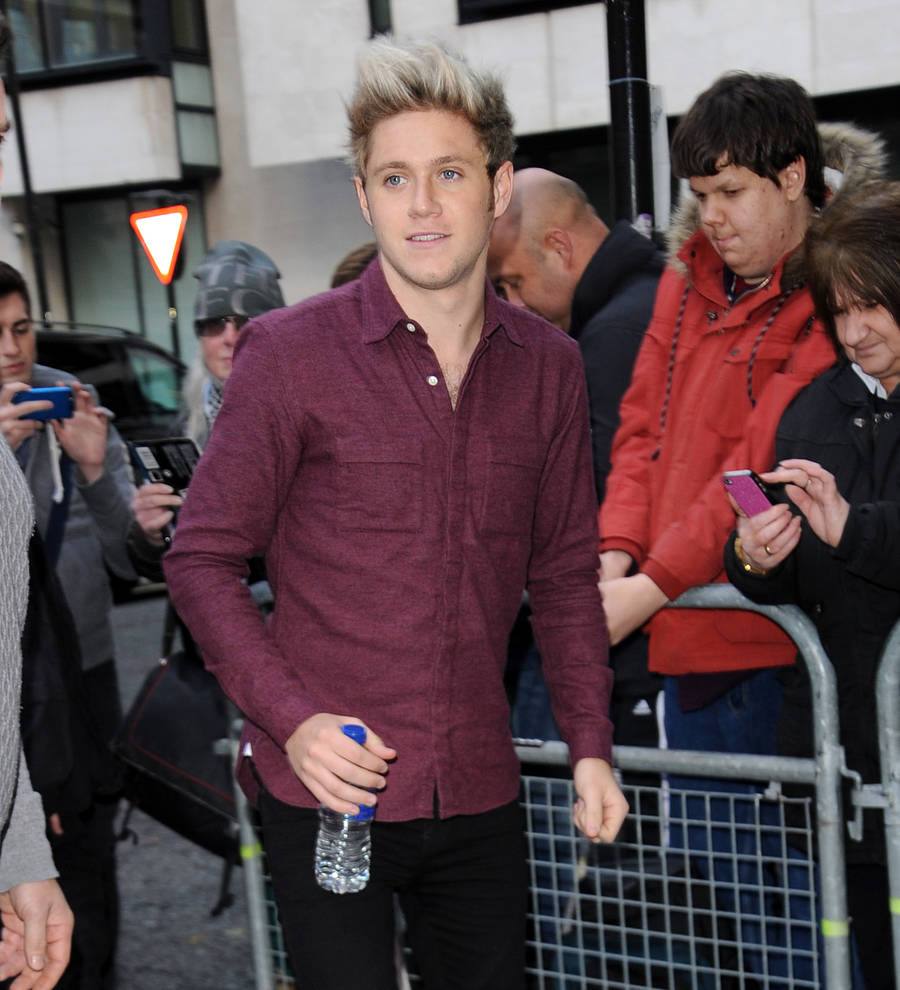 One Direction's Niall Horan to go solo first - report