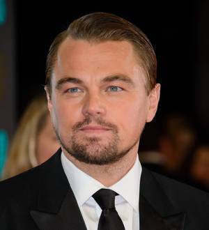 Leonardo DiCaprio has no fun memories of The Revenant shoot