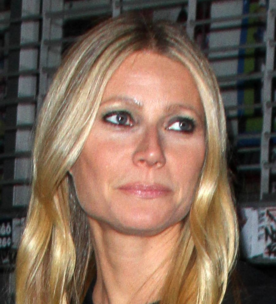 Gwyneth Paltrow faces alleged stalker in court