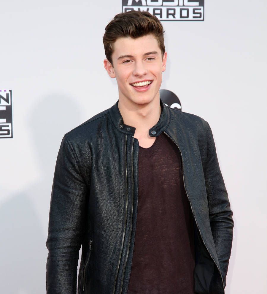 Shawn Mendes lands modelling deal