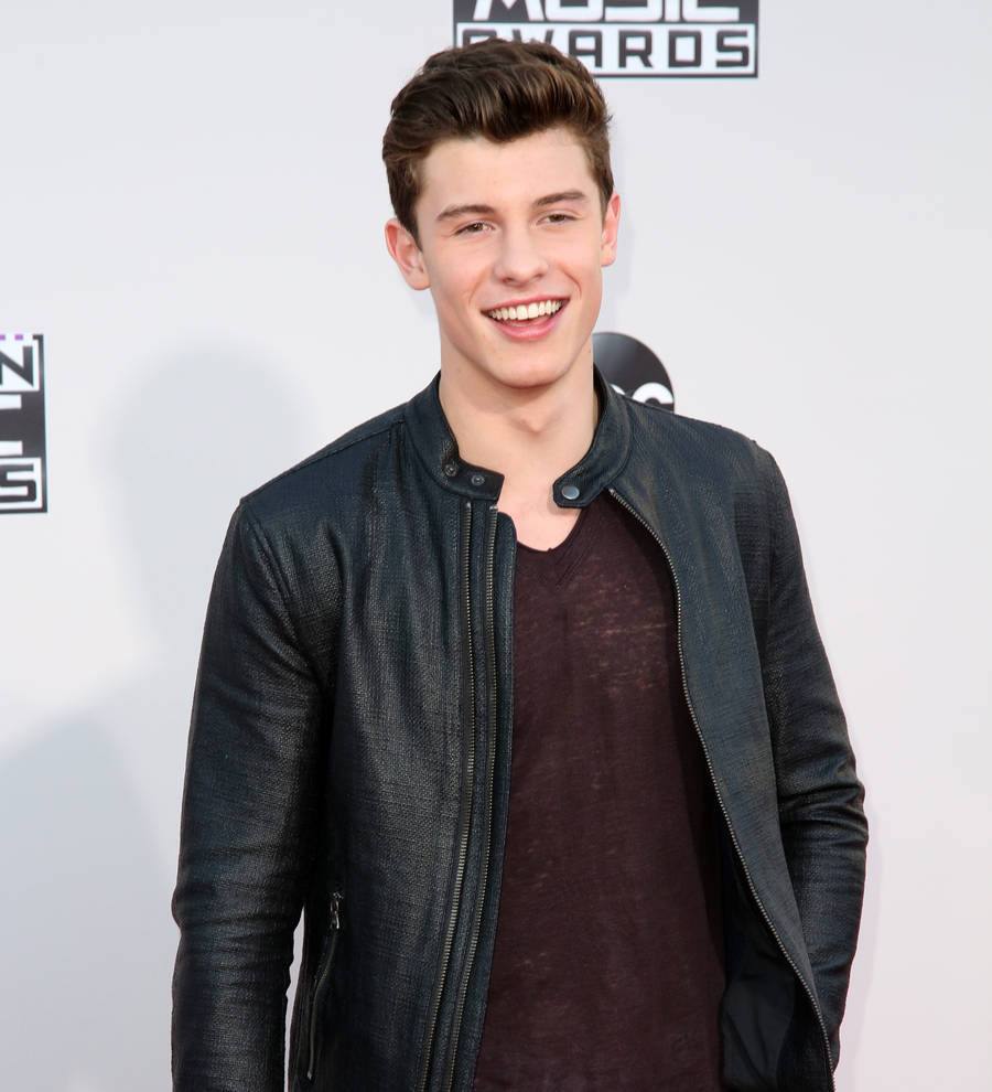 Shawn Mendes lands modelling deal