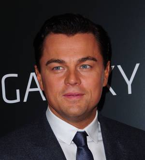 Model linked to Leonardo DiCaprio denies romance