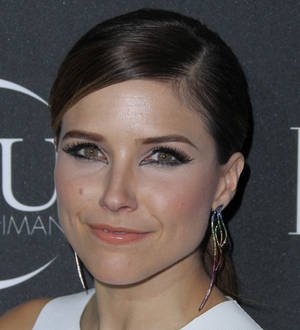 Sophia Bush's boyfriend safe after mountain climbing scare