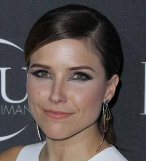 Sophia Bush's boyfriend safe after mountain climbing scare