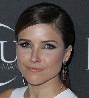 Sophia Bush's boyfriend safe after mountain climbing scare